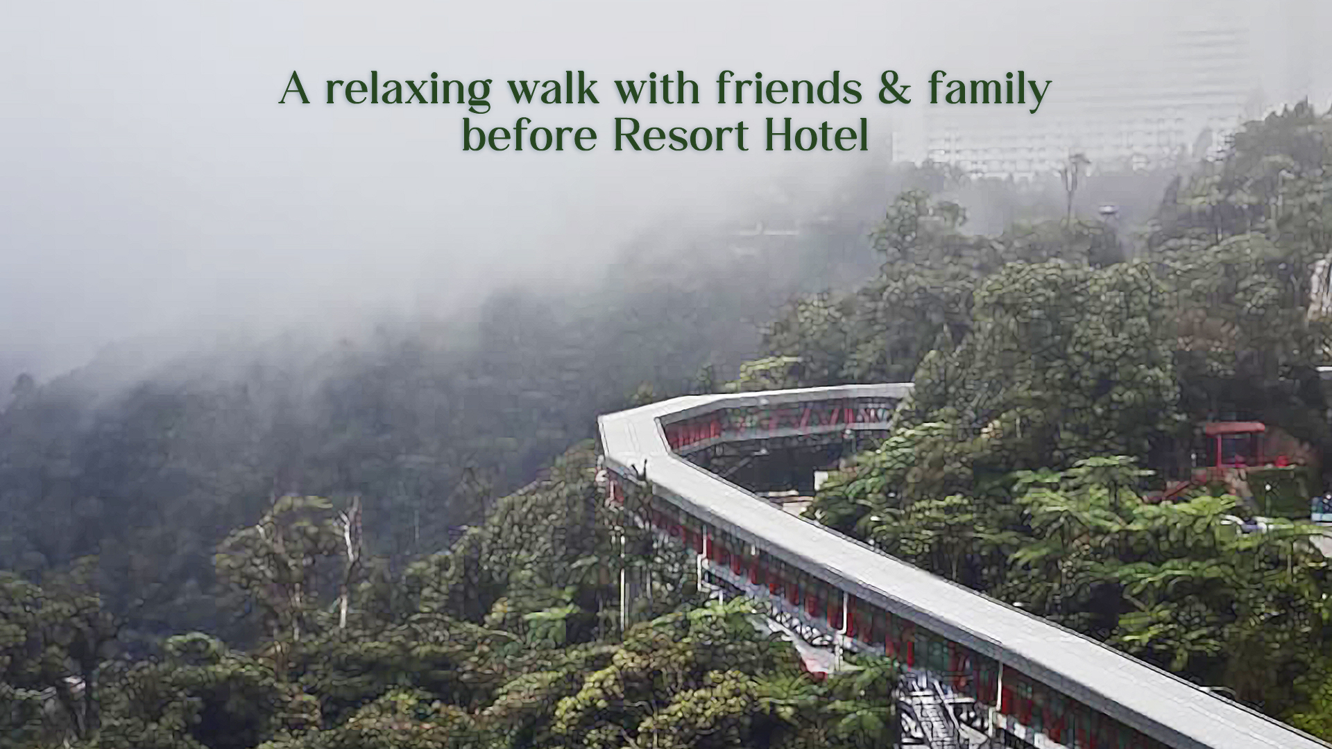 Your Premium Shopping Experience